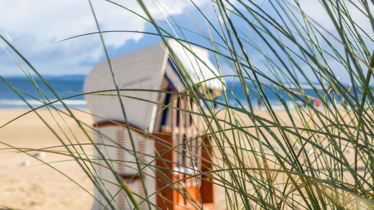 Vibrionen können bei wärmeren Temperaturen in der Ostsee vorkommen