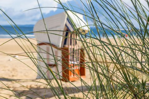 Vibrionen können bei wärmeren Temperaturen in der Ostsee vorkommen