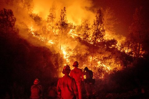 Feuerwehrleute kämpfen in Kalifornien gegen die Flammen