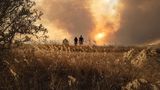 Über 1000 Feuerwehrleute und Retter kämpfen im Süden Frankreichs derzeit gegen die Flammen