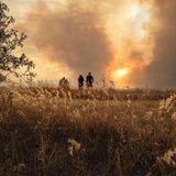 Über 1000 Feuerwehrleute und Retter kämpfen im Süden Frankreichs derzeit gegen die Flammen