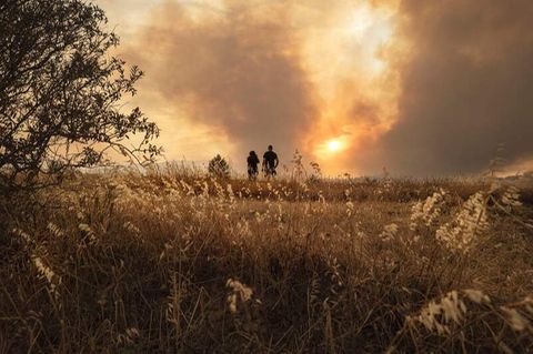 Tausende Menschen in Südfrankreich vor Waldbrand in Sicherheit