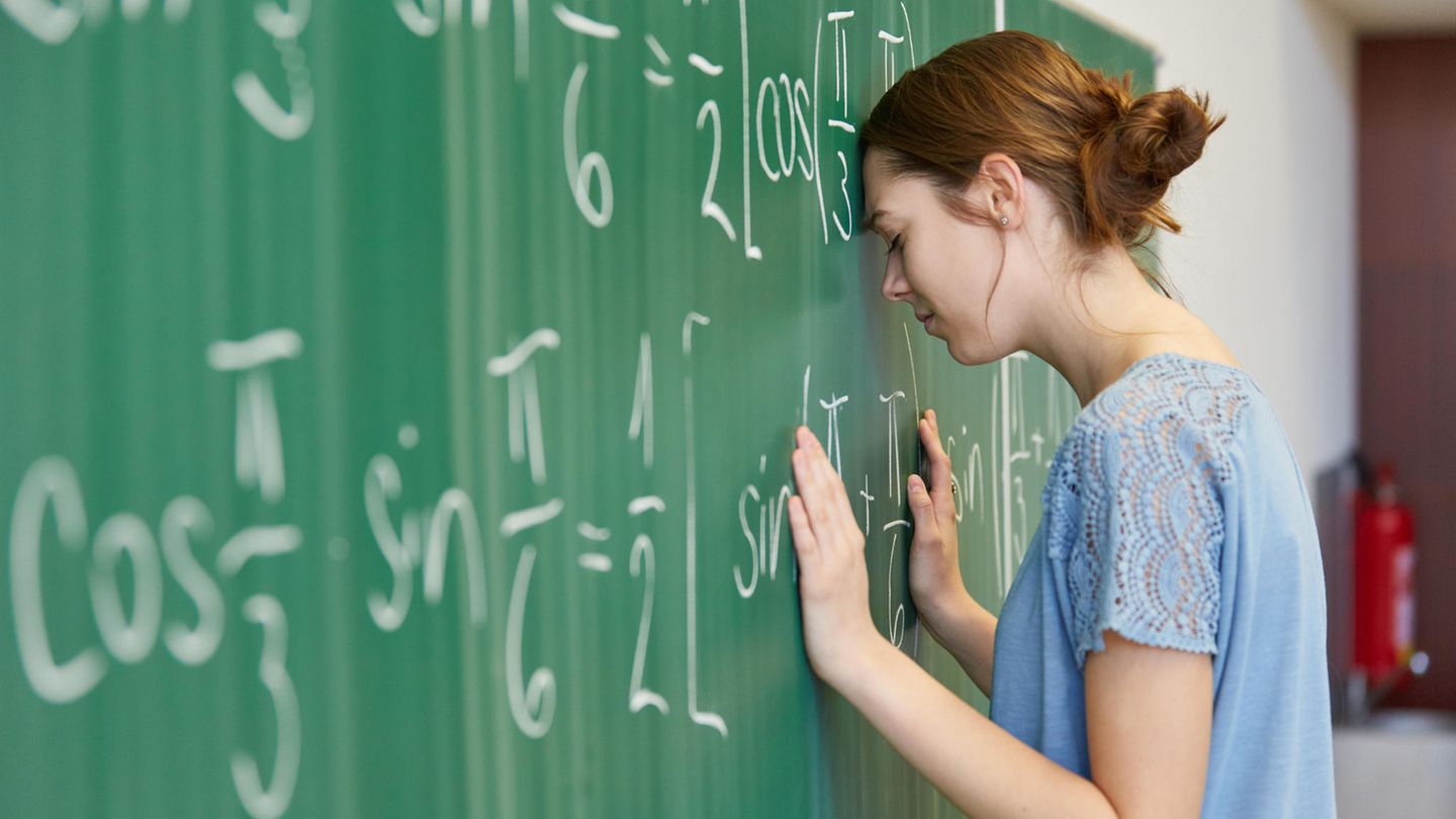 Horrorfach Mathe Wenn Zahlen verzweifeln lassen