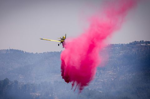 Ein gelbes einmotoriger Propellerflugzeug lässt eine Wolke pink gefärbtes Löschwasser über einem Wald ab