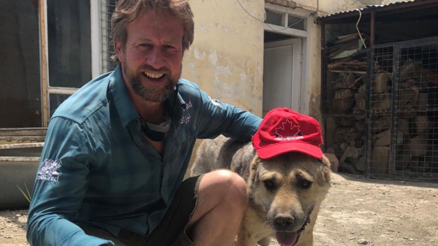 Marine-Soldat Paul Farthing mit einem seiner Hunde