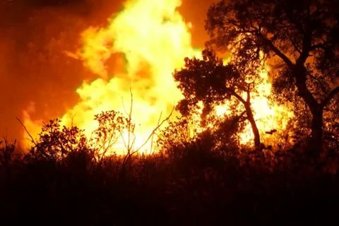 Video: Inferno in Südfrankreich