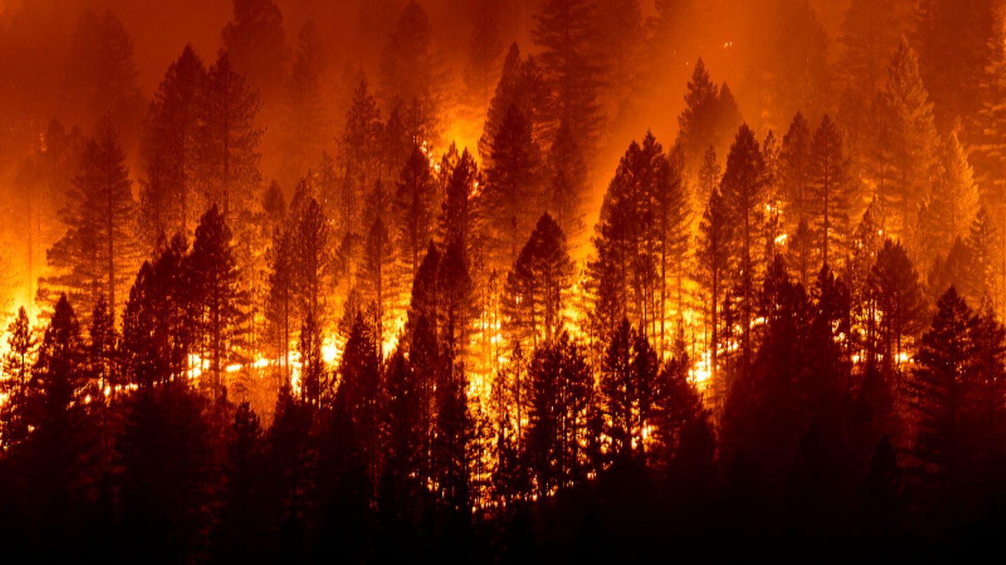Tausende Menschen auf der Flucht: Neue Waldbrände in Kalifornien.