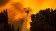Waldbrand Athen