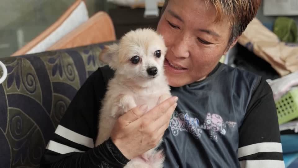 Video: Jin-Hui soll leben!