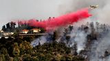 Das Löschwasser wird oft mit Zusätzen versehen, wie Phosphate, die die Bäume und Büsche rot färben. So wissen die Feuerwehrmänner am Boden, wo bereits Löschmittel abgeworfen wurden.