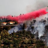 Das Löschwasser wird oft mit Zusätzen versehen, wie Phosphate, die die Bäume und Büsche rot färben. So wissen die Feuerwehrmänner am Boden, wo bereits Löschmittel abgeworfen wurden.