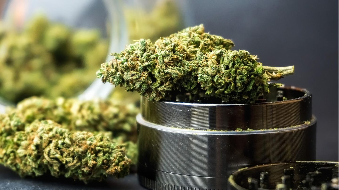 Daniela Ludwig: Drugs officer for the six-gram limit for cannabis
