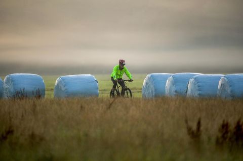 Ein Radler im Kornfeld. 