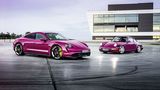 Die Fabre "sternrubin" stammt vom Porsche 911 (Baureihe 964)