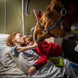 Den zweiten Platz belegte der französische Fotograf Jeremy Lempin mit dem Bild der krebskranken Marion, ihrem siebenjährigen Sohn und dem Therapiepferd Peyo. Tiere können Stress und Ängste reduzieren und das körperliche Wohlbefinden verbessern. Deshalb werden sie unter anderem in der Palliativmedizin eingesetzt.