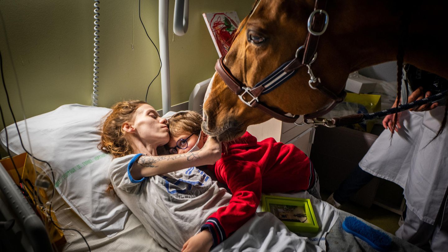 Zeitgeist, Platz 2 Den zweiten Platz belegte der französische Fotograf Jeremy Lempin mit dem Bild der krebskranken Marion, ihrem siebenjährigen Sohn und dem Therapiepferd Peyo. Tiere können Stress und Ängste reduzieren und das körperliche Wohlbefinden verbessern. Deshalb werden sie unter anderem in der Palliativmedizin eingesetzt.