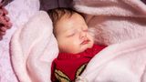 Zum Verwechseln ähnlich: Die Babypupen sind so wahrheitsgetreu gearbeitet, dass viele Leute sie für echte Babys halten.