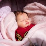 Zum Verwechseln ähnlich: Die Babypupen sind so wahrheitsgetreu gearbeitet, dass viele Leute sie für echte Babys halten.