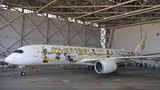 Japan Air Lines Airbus A350-900
