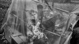 Den dritten Platz in der Kategorie Langzeitprojekte belegt die Fotoreportage von Angelos Tzortzinis. Er hat sich acht Jahre lang mit den Folgen von Migration beschäftigt und war dafür unter anderem in Flüchtlingscamps auf Samos und Lesbos unterwegs. Das erste Bild zeigt eine Frau mit ihrem Baby in einem Zelt in dem greichischen Dorf Idomeni an der Grenze zu Mazedonien.
