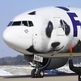Pandabär auf Federal Express Flugzeug