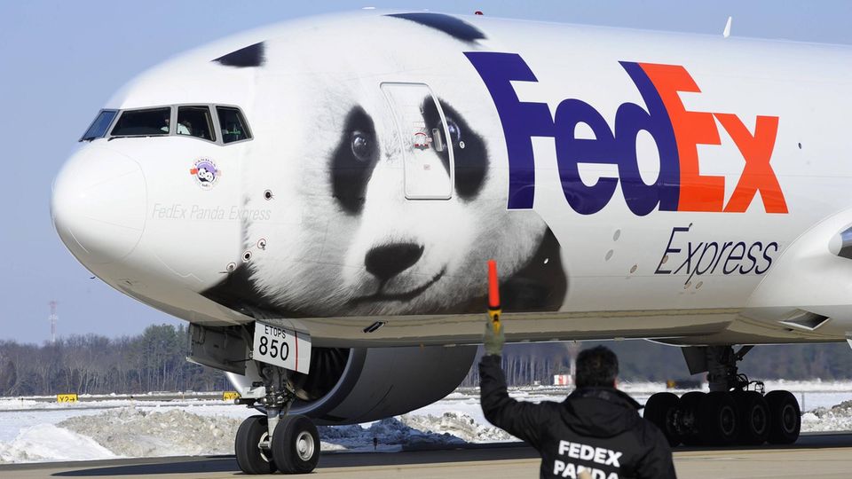 Pandabär auf Federal Express Flugzeug