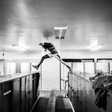 Flint Jaguars-Teamstar Taevion Rushing springt in der Team-Umkleidekabine vor dem letzten regulären Saisonspiel seiner High-School-Basketballkarriere von einem Spind zum anderen. Er möchte an einem Junior College Basketball spielen.