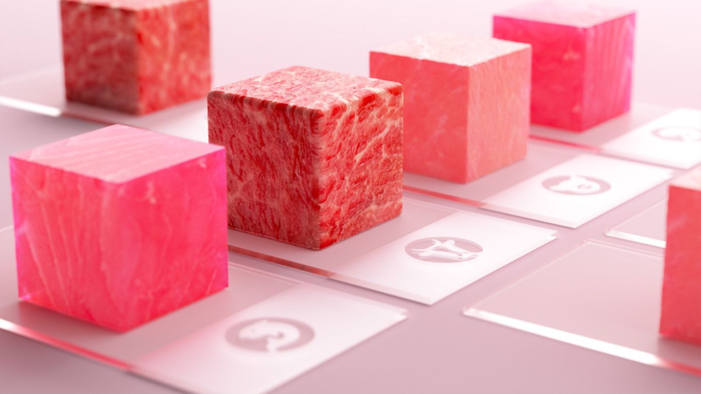 Verschiedene Arten von Fleisch aus dem Labor des deutschen Unternehmen Merck.