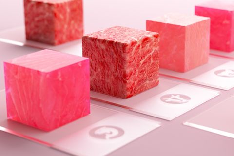 Verschiedene Arten von Fleisch aus dem Labor des deutschen Unternehmen Merck.