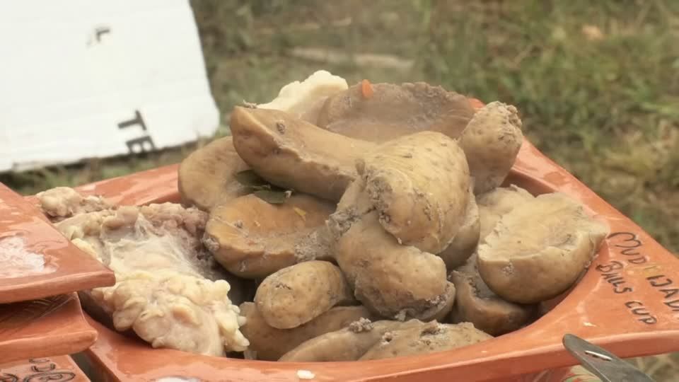 Video: Meisterschaft im Hodenkochen