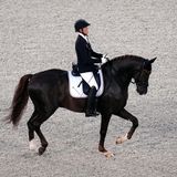 ng der Kür war Mispelkamp (Startklasse Grad V)