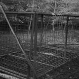 Zwei Türen können herabfallen, die durch Sperrbalken arretiert werden.