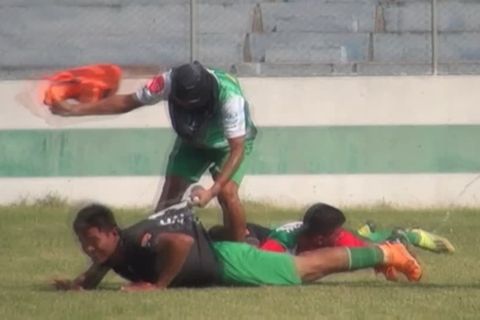 Bolivien: Bienenschwarm greift an: Fußballspiel muss unterbrochen werden