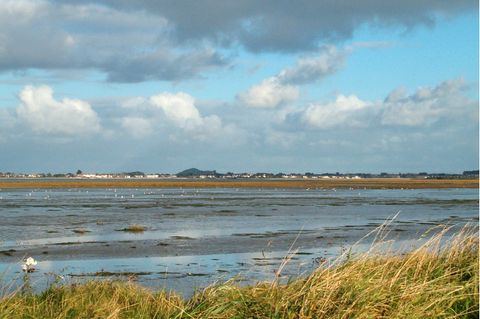 Das North Bull Island Reserve ist eine durch Ebbe und Flut entstandene Insel in der Bucht von Dublin.