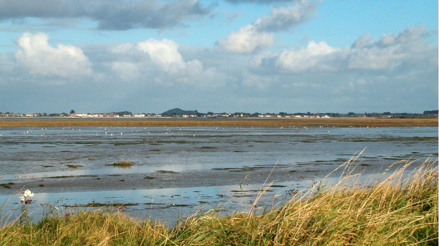Das North Bull Island Reserve ist eine durch Ebbe und Flut entstandene Insel in der Bucht von Dublin.