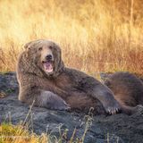 Ganz ehrlich: So sexy können die meisten Menschen nicht posieren