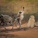 Hoch die Hände, Wochenende!