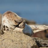 Wenn man ein bisschen zu wenig Schlaf hatte und einfach nur albern ist
