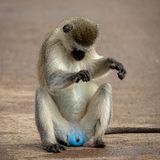 Urologen würden dieses Bild gerne als Symbolbild haben