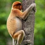 Wenn es an der Nase kribbelt und man den ganzen Einkauf in den Händen hält