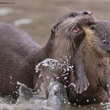 Erziehung, immer wieder eine Freude