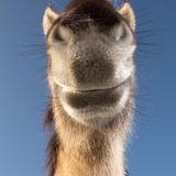 Ganz schön neugierig