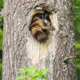 Der Wohnungsmarkt wird immer angespannter