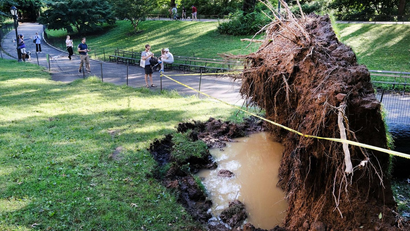 Dieser Baum im Central Park hat angesichts des Windes und des aufgeweichten Bodens den Halt verloren und ist umgestürzt