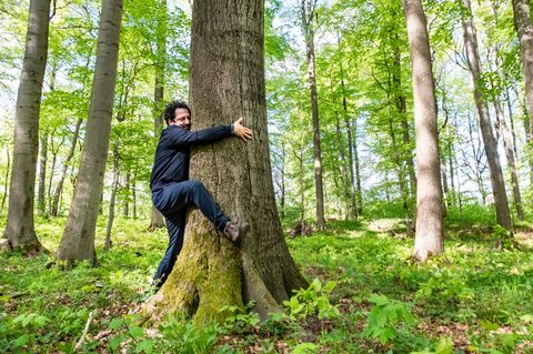 SaFahri – Eine Reise zu den Elementen