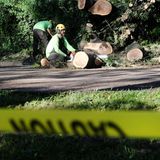 Diese Männer machen sich daran, die umgestürzten Bäume zu zersägen und den Weg im Central Park wieder frei zu machen