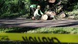 Diese Männer machen sich daran, die umgestürzten Bäume zu zersägen und den Weg im Central Park wieder frei zu machen