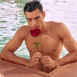 "Bachelor in Paradise"