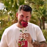 "Bachelor in Paradise"