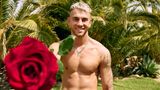"Bachelor in Paradise"